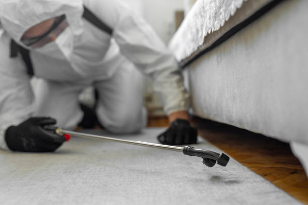 Professional Pest Control technician working in Custer, SD