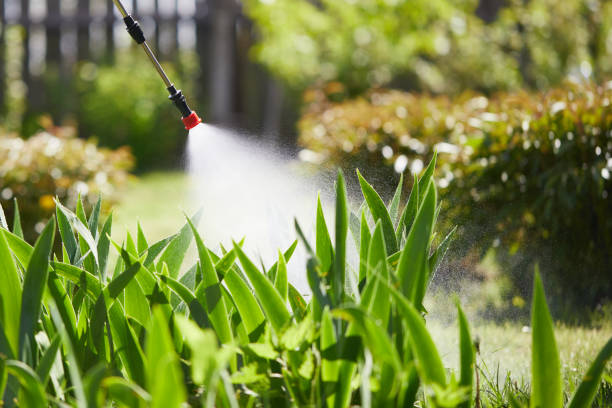24/7 Emergency Pest Control experts in Custer, SD