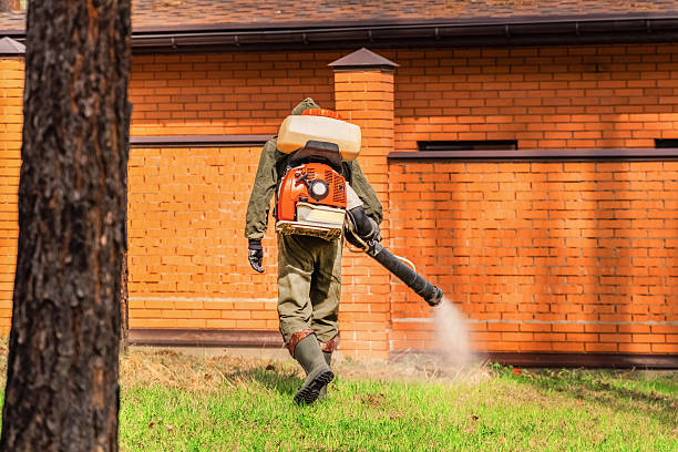 Top rated local Pest Control specialists in Custer, SD